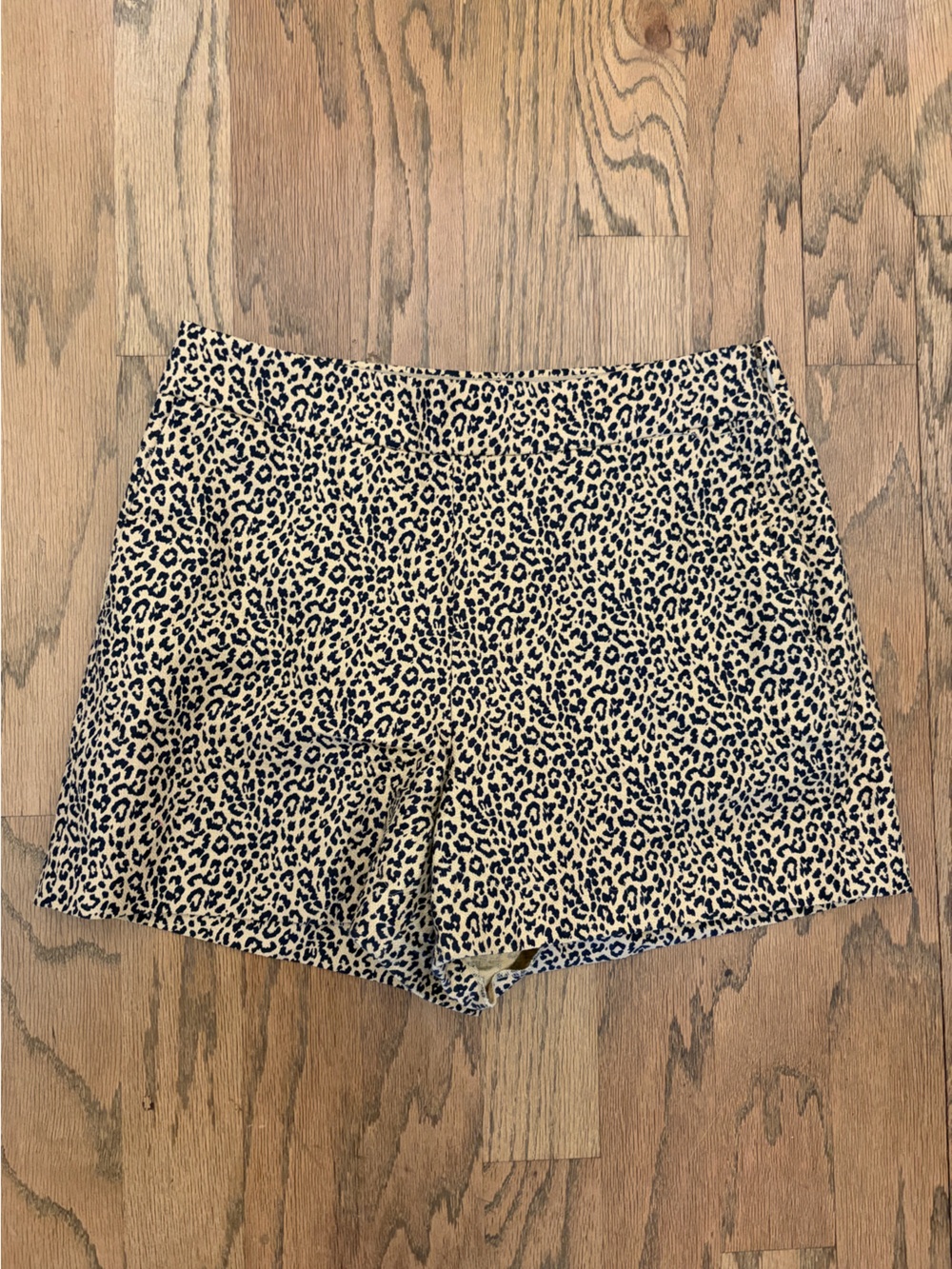 J.Crew Leopard Print High Waist Shorts Size 8 Cotton Animal Print Casual Summer